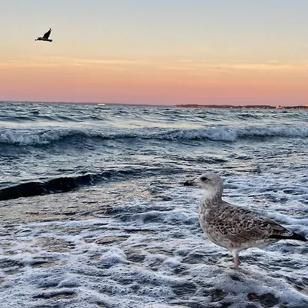Villa Scharbeutz, Poenitz *