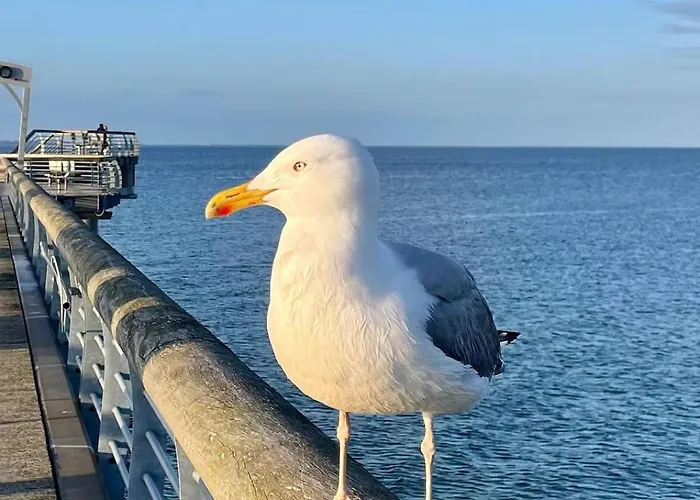 Villa Scharbeutz, Poenitz *